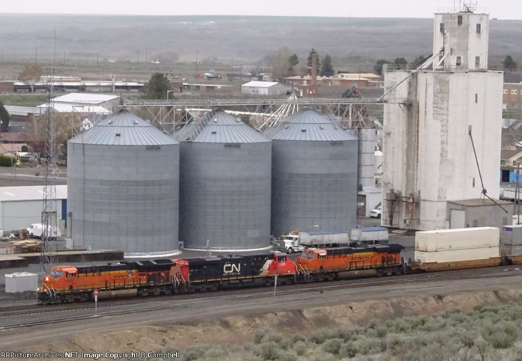 BNSF 3944-CN 2920-BNSF 7118